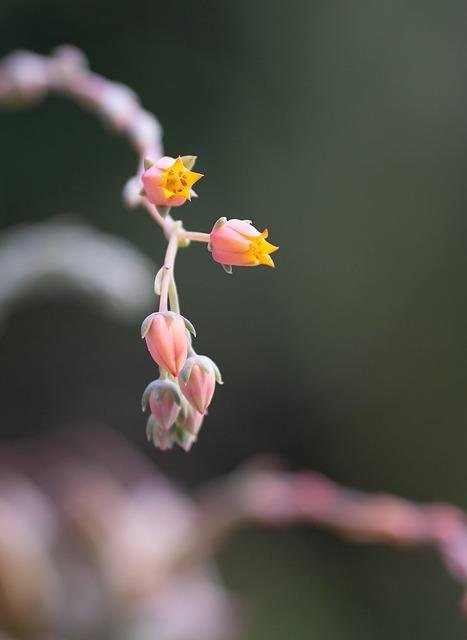 Exploring the Energy Centers: A Comprehensive Guide to Understanding Chakras